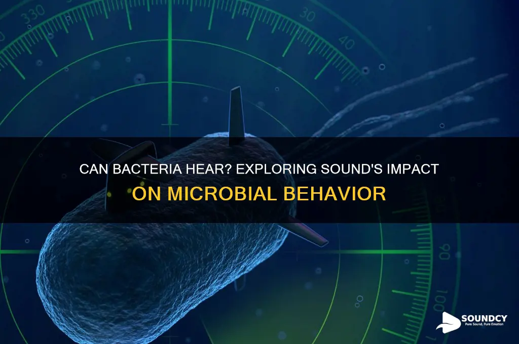 does bacteria respond to sound