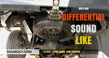 Identifying Bad Differential Sounds: Symptoms, Causes, and Solutions Explained