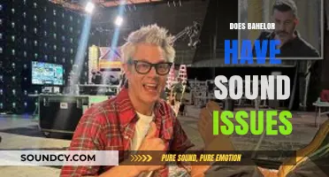 Bachelor Sound Issues: Troubleshooting Audio Problems for a Better Viewing Experience