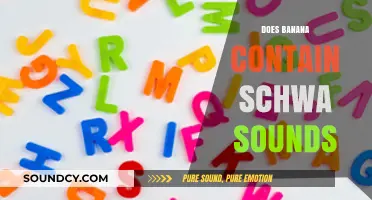 Exploring Phonetics: Do Bananas Contain Schwa Sounds in Speech?