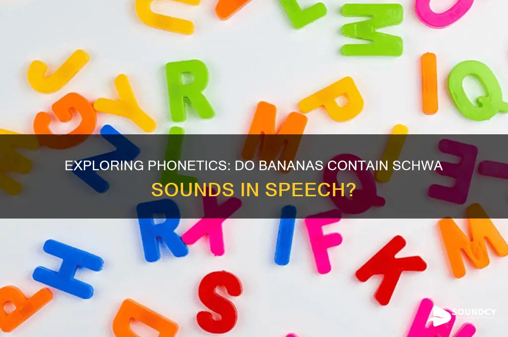 does banana contain schwa sounds