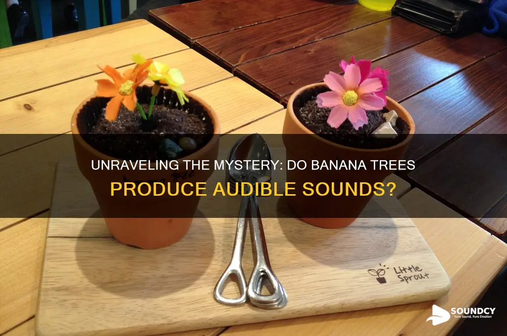 does banana tree make sound