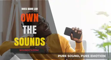 BandLab: Who Owns the Sounds?