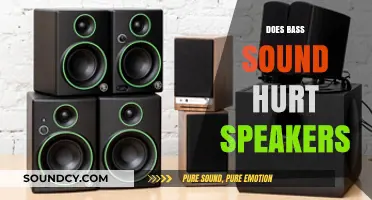 Can Bass Damage Speakers? Understanding Low-Frequency Impact on Audio Equipment