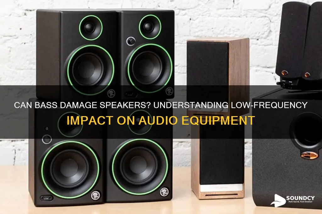 does bass sound hurt speakers