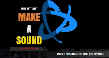 Does Battle.net Make a Sound? Exploring the Platform's Audio Features