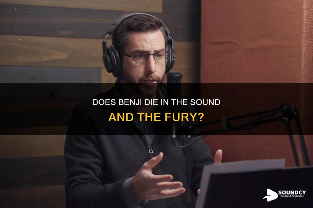 does benji die in the sound and the fury