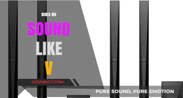 Does the 'bh' Sound Resemble 'v'? Exploring Phonetic Similarities