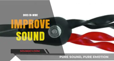 Does Bi-Wiring Enhance Audio Quality? A Comprehensive Analysis