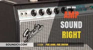 Does Bias Amp Sound Right? Unveiling the Truth Behind the Tone