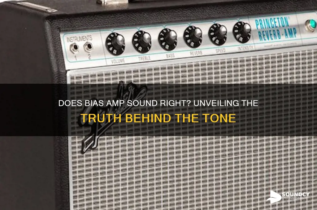 does bias amp sound right