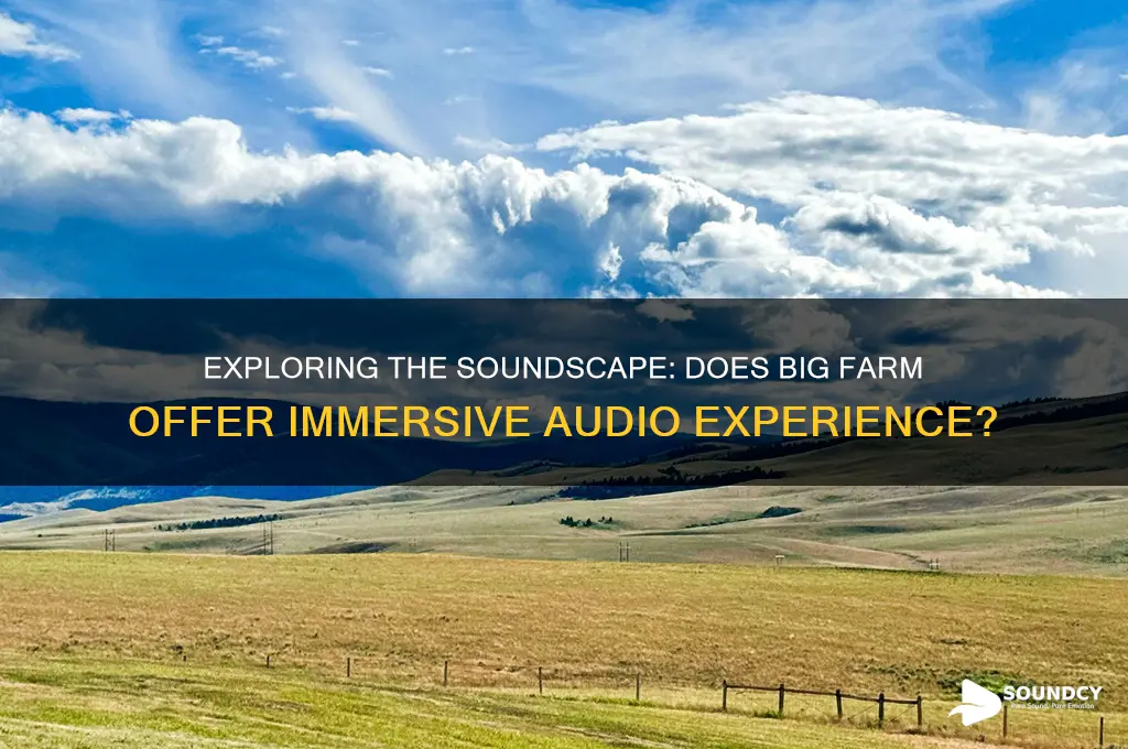 does big farm have sound
