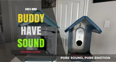 Does Bird Buddy Include Sound Features? A Comprehensive Guide
