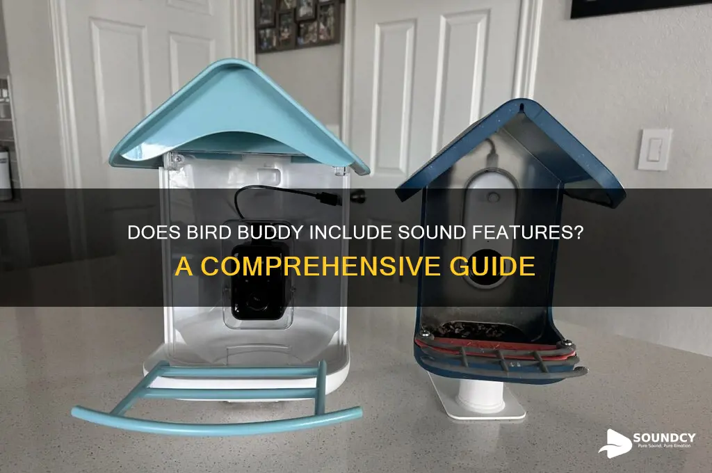 does bird buddy have sound