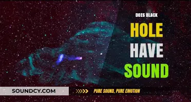 Can Black Holes Produce Sound? Exploring the Cosmic Silence