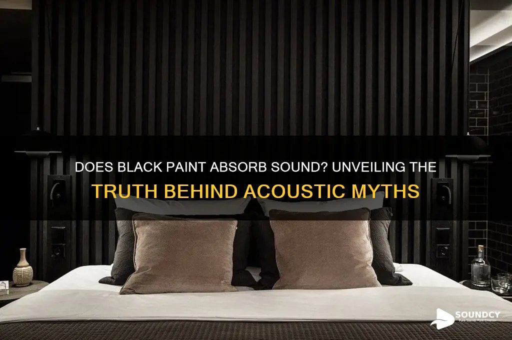does black paint absorb sound