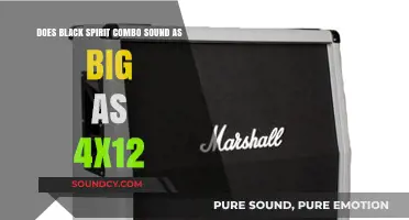 Black Spirit Combo vs. 4x12: Does the Sound Match the Size?