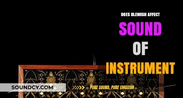 Blemishes: How They Affect Your Instrument's Sound