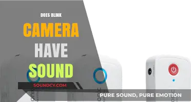 Does Blink Camera Have Sound? Exploring Audio Features and Capabilities