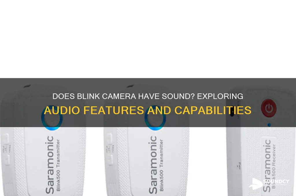 does blink camera have sound