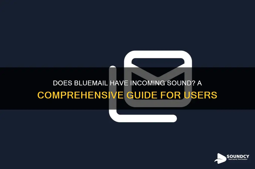 does bluemail have incoming sound