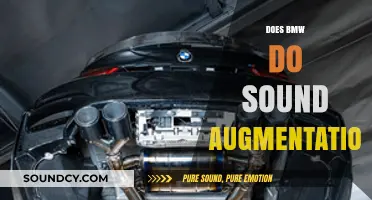 BMW Sound Augmentation: Fact or Fiction? Exploring Engine Noise Enhancement