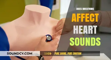 Breathing's Impact on Heart Sounds: Unraveling the Connection and Clinical Significance