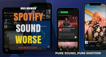 Does Browser Spotify Sound Worse? A Critical Audio Quality Analysis