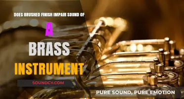 Does Brushed Finish Affect Brass Instrument Sound Quality?
