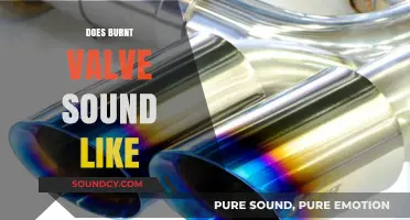 Identifying Burnt Valve Sounds: Symptoms, Causes, and Solutions Explained