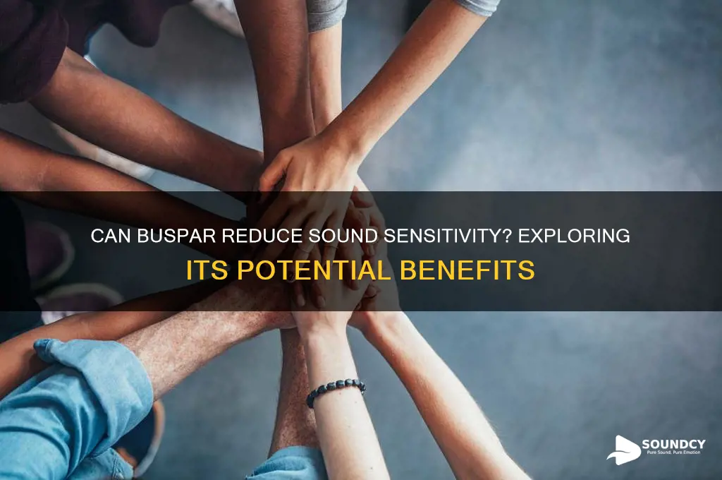 does buspar help sound sensitivity
