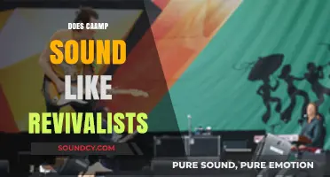 Caamp vs. The Revivalists: Uncovering Their Musical Similarities and Differences