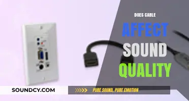 Cable Quality Impact: Does It Enhance or Diminish Sound Performance?