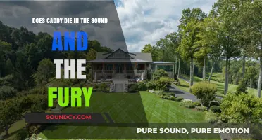 Caddy's Fate in The Sound and the Fury: Unraveling the Mystery