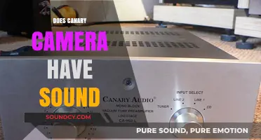 Canary Camera Sound Feature: Does It Record Audio?