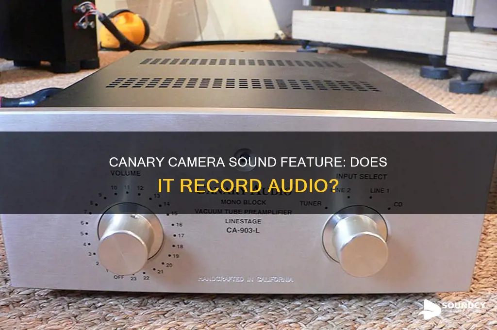 does canary camera have sound