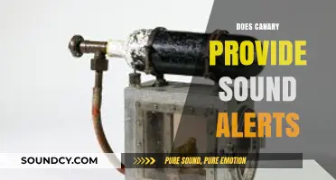 Canary Sound Alerts: How They Work and When They Trigger