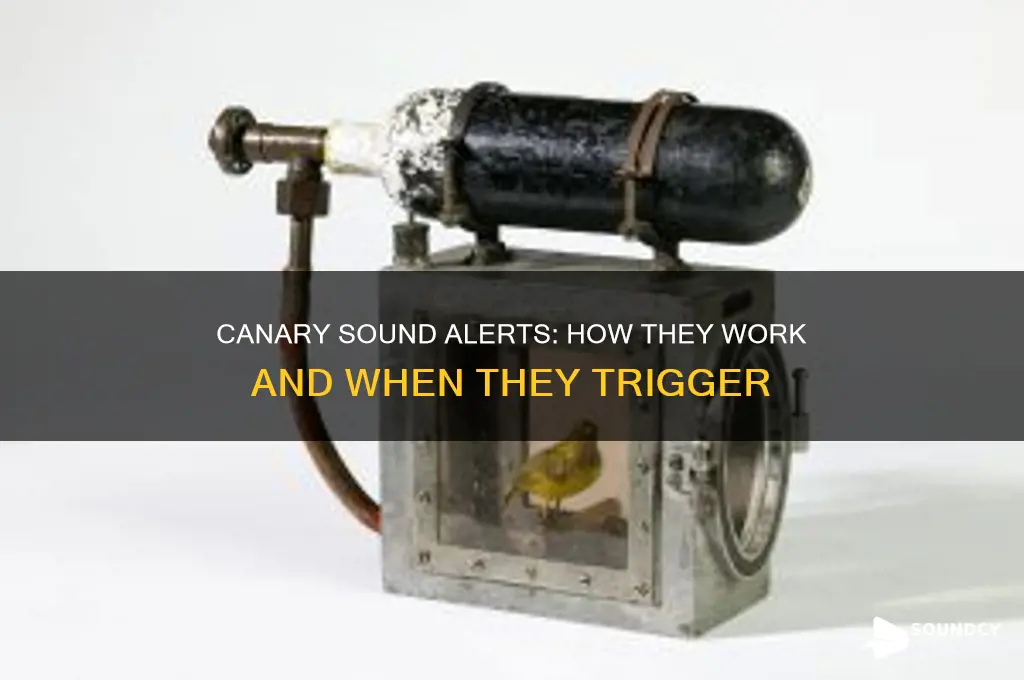 does canary provide sound alerts