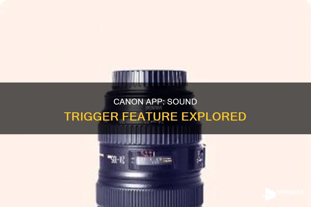 does canon app have sound trigger