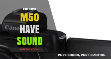 Canon M50 Sound Capabilities: What You Need to Know