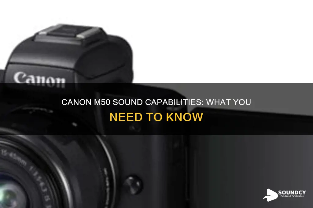 does canon m50 have sound