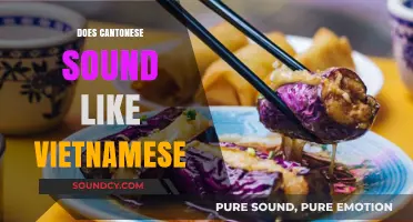 Cantonese vs. Vietnamese: Unraveling the Linguistic Similarities and Differences