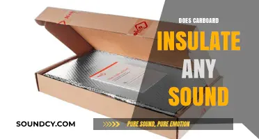 Can Cardboard Block Noise? Exploring Its Sound Insulation Capabilities