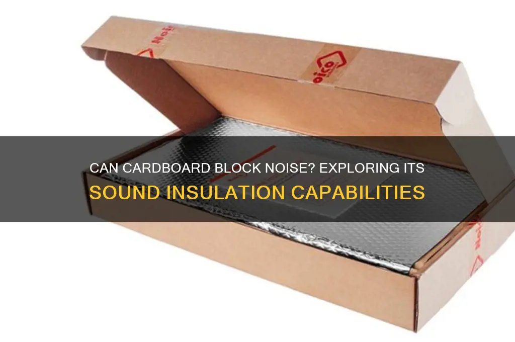 does carboard insulate any sound
