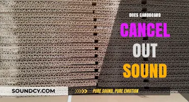 Can Cardboard Effectively Reduce Noise? Exploring Soundproofing with Everyday Materials