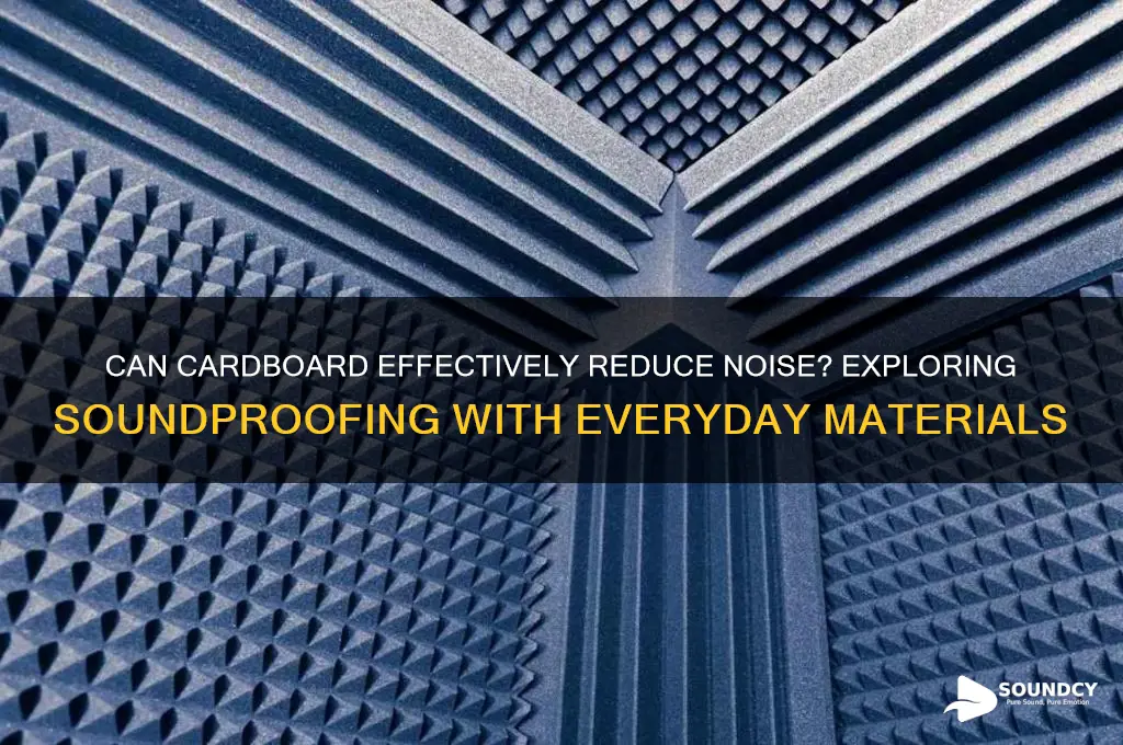 does cardboard cancel out sound