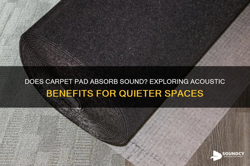 does carpet pad absorb sound