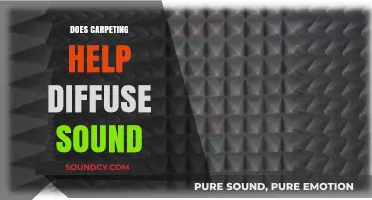 Carpeting and Soundproofing: How It Helps Diffuse Noise in Rooms