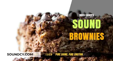 Casey's Sound Brownies: Unveiling the Unique Sensory Experience