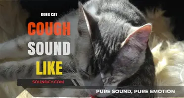 What Does a Cat Cough Sound Like? Identifying Feline Respiratory Noises